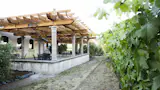 The main tasting room at Jeriko Estate Resort and Winery features an expansive redwood pergola. Custom fabricated concrete columns support the redwood shade structure.