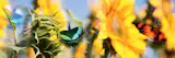 At CoArt, we believe in combining beautiful art with purpose, whether it is by solving acoustical issues in office spaces, providing healing art to make positive impact in healthcare facilities, or simply branding a space to create a better connection between businesses and their clients. Our unique approach to art provides a vision to each of our client’s needs and helps turn any space into your space.

