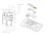 Site Plan/Axonometric-Three story home designed to be built around and feature a gigantic Live Oak Tree