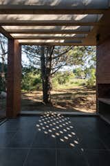 Outdoor, Trees, Back Yard, and Small Patio, Porch, Deck  Photo 14 of 25 in Casa RINCÓN by Estudio Galera
