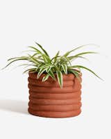 From Sand Large Planter