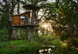 Exterior, Treehouse Building Type, and Wood Siding Material The Willow &amp; Juniper tree house by ArtisTree  Photo 2 of 16 in Experience Tree-Top Living at One of These Sustainable Tree Houses