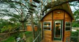 Exterior, Wood Siding Material, and Treehouse Building Type The Willow &amp; Juniper tree house by ArtisTree  Photo 3 of 16 in Experience Tree-Top Living at One of These Sustainable Tree Houses
