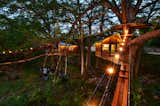 Exterior, Treehouse Building Type, and Wood Siding Material The Willow &amp; Juniper tree house by ArtisTree  Photo 6 of 16 in Experience Tree-Top Living at One of These Sustainable Tree Houses