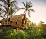 Experience Tree-Top Living at One of These Sustainable Tree Houses - Photo 11 of 15 - 