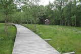 A wastewater area doubles as a nature trail along a raised boardwalk.