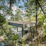 Outdoor, Trees, Hardscapes, Slope, and Shrubs The roof is the only solid element.  Photo 6 of 15 in A Portuguese Glass House Uses Surrounding Foliage as a Privacy Screen