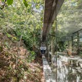 Windows Light enters the home from all sides, even those which are closest to the hill.  Photo 10 of 15 in A Portuguese Glass House Uses Surrounding Foliage as a Privacy Screen
