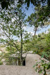 Outdoor, Rooftop, and Trees The home is designed to maneuver around existing trees.  Photo 13 of 15 in A Portuguese Glass House Uses Surrounding Foliage as a Privacy Screen