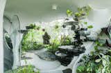 The lush spaces of the Garden Room incorporate plants and organic forms.