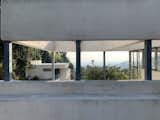  Photo 4 of 13 in An Exclusive Look Inside the Health-Conscious House That Put Richard Neutra on the Map