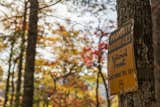 The 124 acre Pilot Cove property shares a one mile contiguous boundary with Pisgah National Forest. Hundreds of miles of trails can be accessed from various trail heads very near Pilot Cove.