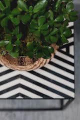 The greenery of the succulent plants contrast against the monochrome side table. 