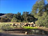 These Boulders Come with the Property  Photo 7 of 42 in Ojai, California: Award-Winning Green Modern on 40 Acres by Sherry Stuckey