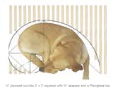 Plan of Doghouse, shows relation to the curve of dogs as they lounge