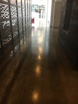 A well traveled soft loft entry is better served with this monolithic, easily cleaned polished floor. The custom color was chosen for both it's beauty and it's hiding ability.