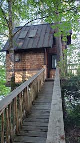 How you enter and how you leave the treehouse