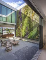 Outdoor and Garden Atrium  Photo 5 of 8 in Allison Road Residence by Choeff Levy Fischman