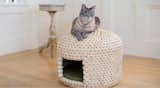 Unique designs that connect deeply and instinctively with cats. NekoHut, an all-natural, handwoven cat bed inspired by the Japanese neko chigura. 