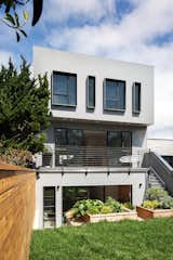 San Francisco Renovation backyard exterior with wood paneling and black iron encased windows
