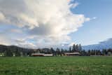 Outdoor, Field, Trees, and Grass Trout Lake | Olson Kundig  Photos from Trout Lake