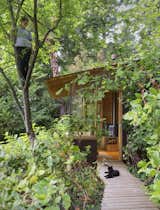 The family cat enjoys the Studio / Bunkhouse as well.