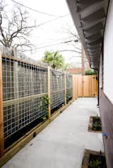 A new living fence was built to hide a rental unit's fence next to this home.  When filled in, the living fence provided additional privacy to the homeowner and tenants.  Landscape lighting was incorporated into the new fence to aid in security and to provide a peaceful ambiance at night.