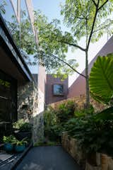 Outdoor, Side Yard, Trees, Garden, and Landscape Lighting  Photo 2 of 23 in Casa OM1 by AE Arquitectos