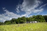 Outdoor, Grass, Trees, and Field  Photo 1 of 14 in High Meadow at Fallingwater by Bohlin Cywinski Jackson