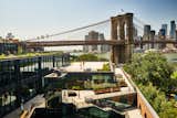  Photo 1 of 14 in A Brooklyn-Based Landscape Firm That’s Reshaping New York City’s Green Urban Scene