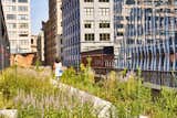A Brooklyn-Based Landscape Firm That’s Reshaping New York City’s Green Urban Scene - Photo 1 of 13 - 
