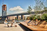 A Brooklyn-Based Landscape Firm That’s Reshaping New York City’s Green Urban Scene - Photo 3 of 13 - 