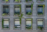 A Brooklyn-Based Landscape Firm That’s Reshaping New York City’s Green Urban Scene - Photo 6 of 13 - 
