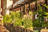 A Brooklyn-Based Landscape Firm That’s Reshaping New York City’s Green Urban Scene - Photo 13 of 13 - 