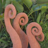 Fern Fiddleheads

Give your garden, balcony or pool surround a dramatic focal point. Our Fern Fiddleheads can be displayed as an individual accent or for an even more eye-catching effect, in groups of two or more.

Each piece is hand sculpted from fired terracotta, with a heavily stippled surface, so expect some slight variations in size and shape. These will free-stand on firm, level ground. We recommend placing the sculpture over fixed re-bar or other rigid support.

    Small: 24" h x 12" – 13" w
    Medium: 30" h x 13" – 15" w
    Large: 47" h x 16" – 18" w
