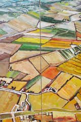 Golden Fields-quadriptych 30x20 oil on canvas
by Kim Ford Kitz (These pieces work together as shown, in a horizontal line or hung separately.)