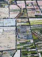 Pastel Fields-quadriptych 32x24 oil on panel
by Kim Ford Kitz (These pieces can be displayed as shown, in a horizontal line, or hung separately.)  Photo 3 of 14 in Aerial Paintings by Kim Ford Kitz