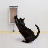 Catchall Wall-mounted Cat Scratcher, Perch & Storage

from the Hauspanther Collection by Primetime Petz