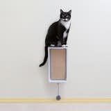 Catchall Wall-mounted Cat Scratcher, Perch & Storage

from the Hauspanther Collection by Primetime Petz