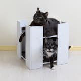 Cubitat Multi-level Cat Bed & Hideaway

from the Hauspanther Collection by Primetime Petz