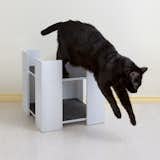 Cubitat Multi-level Cat Bed & Hideaway

from the Hauspanther Collection by Primetime Petz