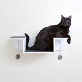 Nest Perch Wall-mounted Cat Perch & Lounge

from the Hauspanther Collection by Primetime Petz