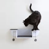 Nest Perch Wall-mounted Cat Perch & Lounge

from the Hauspanther Collection by Primetime Petz