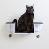 Nest Perch Wall-mounted Cat Perch & Lounge

from the Hauspanther Collection by Primetime Petz