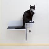 Step Perch Wall-mounted Cat Scratcher, Perch & Lounge

from the Hauspanther Collection by Primetime Petz