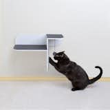 Step Perch Wall-mounted Cat Scratcher, Perch & Lounge

from the Hauspanther Collection by Primetime Petz