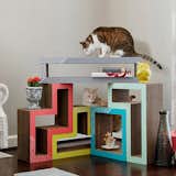 Katris modular cardboard cat scratchers and climbers