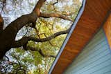 Exterior Detail - The casita was built to squeeze in under the existing tree limbs