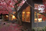 A majestic Japanese maple nestles against the Master Bedroom and adds vibrant color to the courtyard.