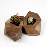 Gem Planter

https://www.multiplymade.com/collections/novelty/products/gem-planter

This little gem is handmade from walnut, hand-sanded to a beautiful sheen and finished with Mahoney's Walnut oil to add protection and shine.

A great way to add a little warmth to your modern home. 

Also available in Hard Maple.

Hand-made in California